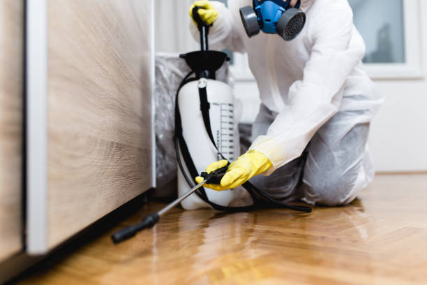 Best Pest Control Near Me  in Marlinton, WV