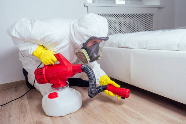 Reliable Marlinton, WV Pest Control Solutions