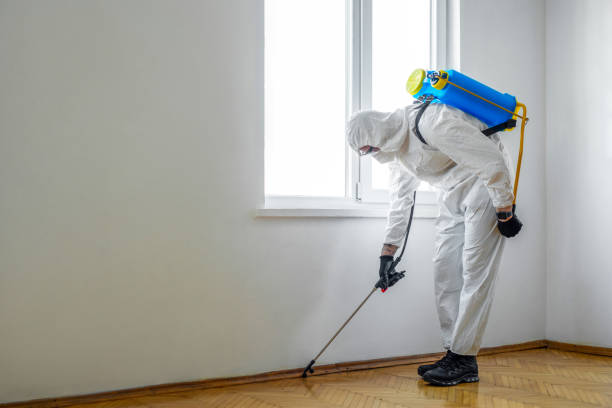 Pest Prevention Services in Marlinton, WV