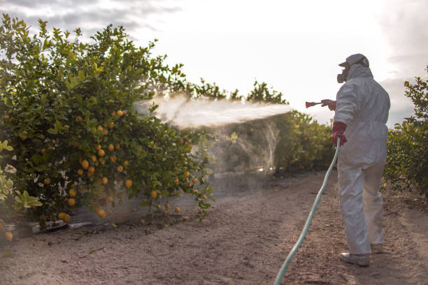 Best Affordable Pest Control Services  in Marlinton, WV