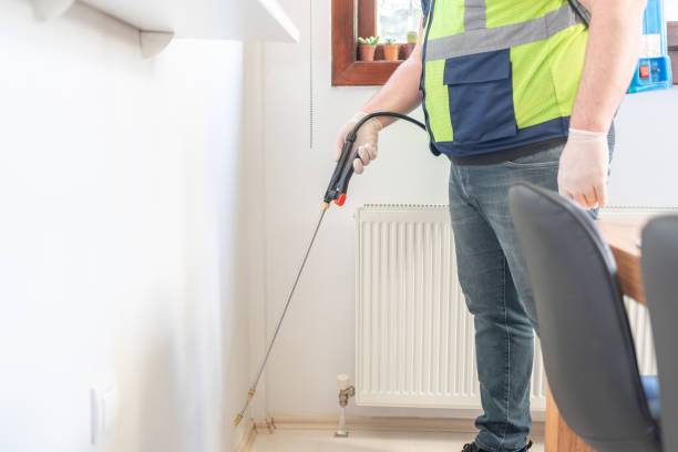 Best Termite Control Services  in Marlinton, WV