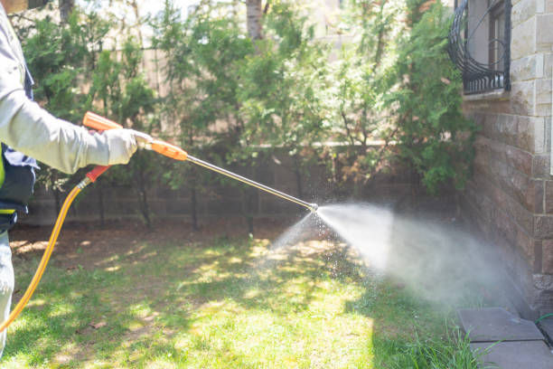 Best Pest Inspection Near Me  in Marlinton, WV