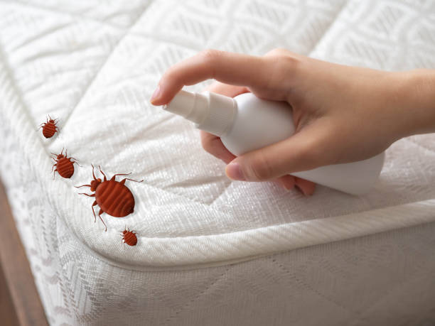 Best Wasp Removal Services  in Marlinton, WV