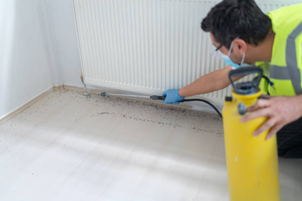 Best Cockroach Control Services  in Marlinton, WV